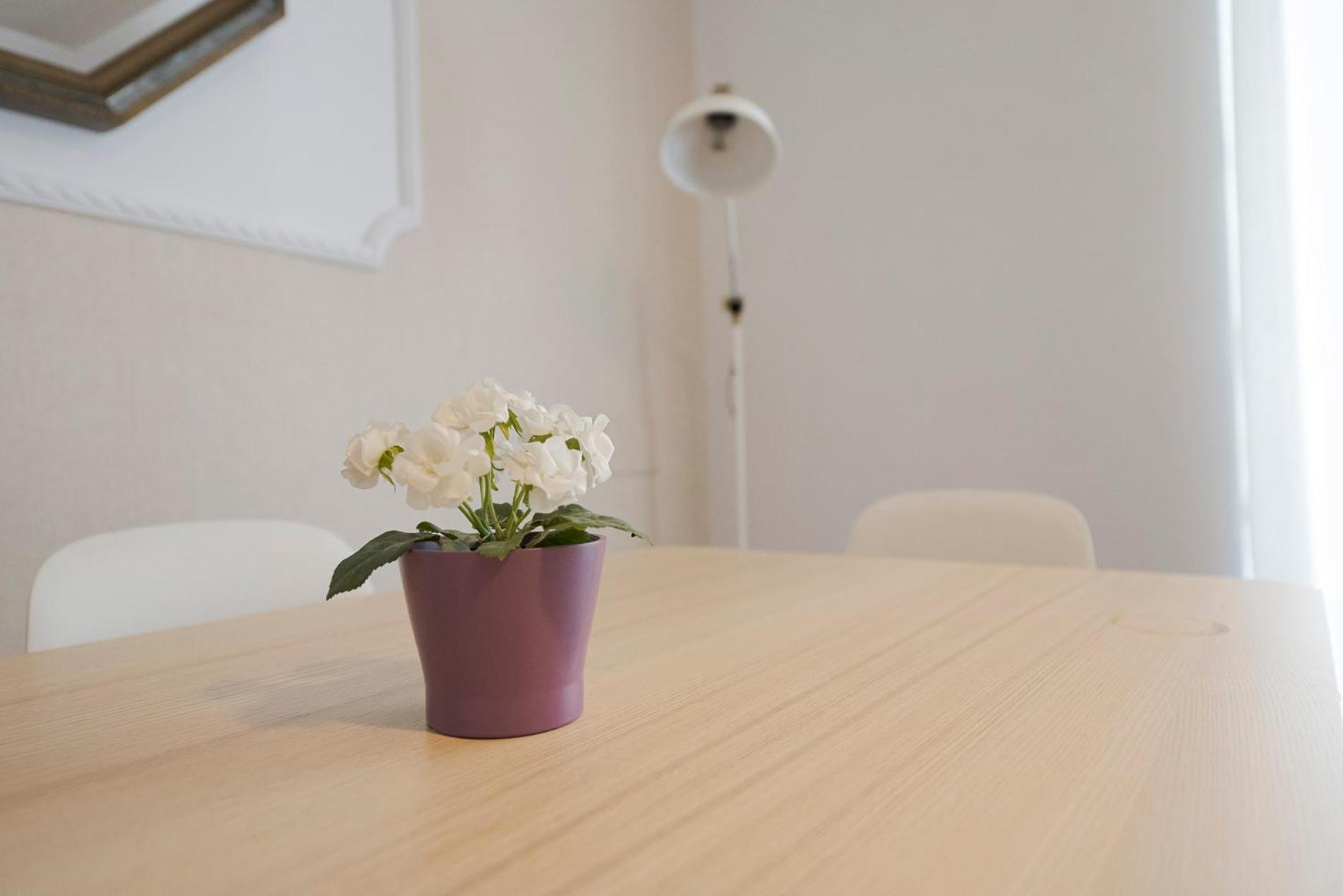 Apartamento Victoria En El Centro De San Sebastián Dış mekan fotoğraf